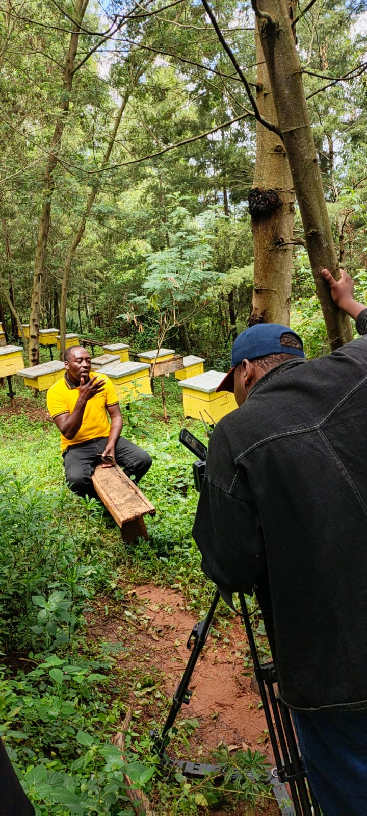Founder being filmed while teaching beekeeping at the Sanchez apiary